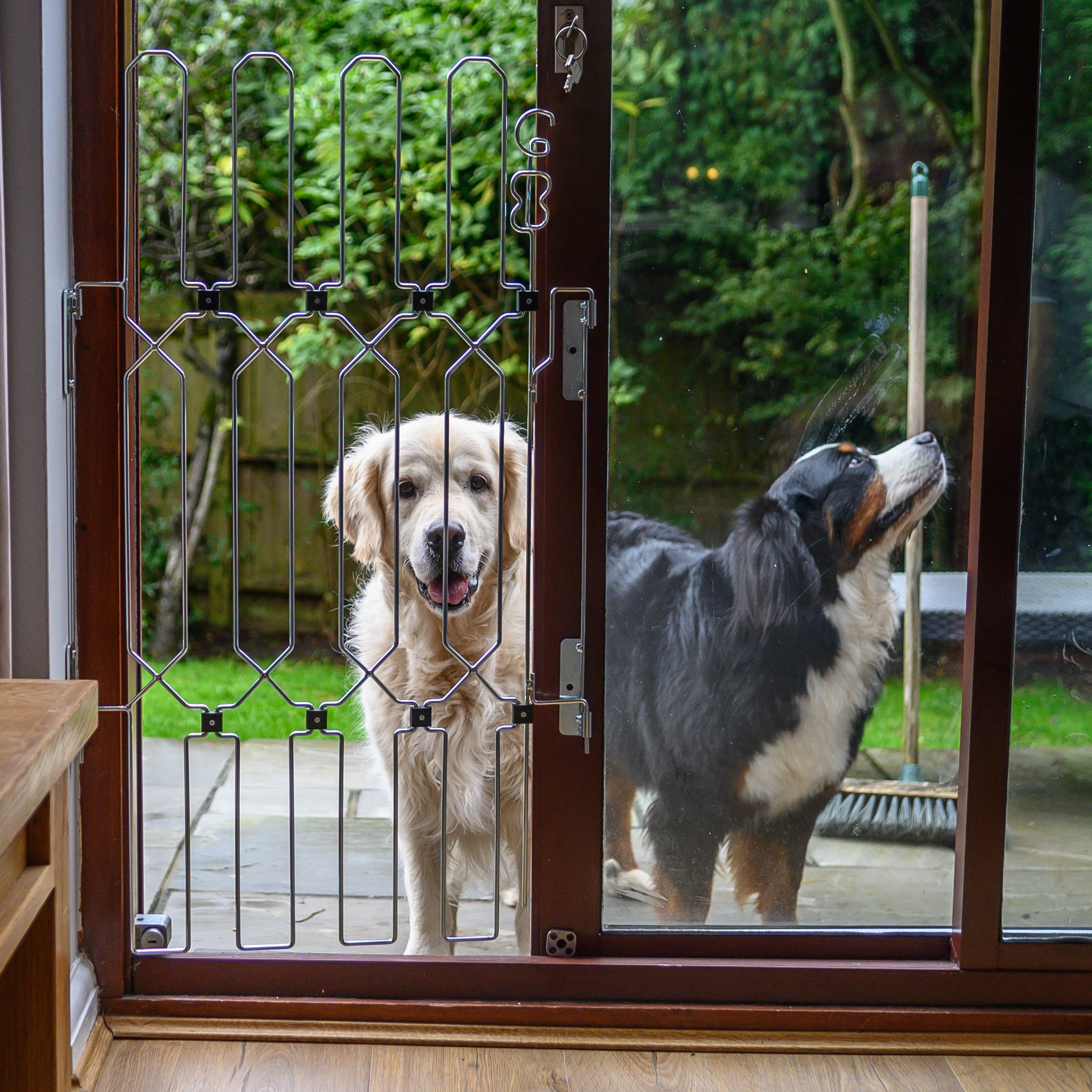 A Dog Gate for your Back Door! The DogG8 Company