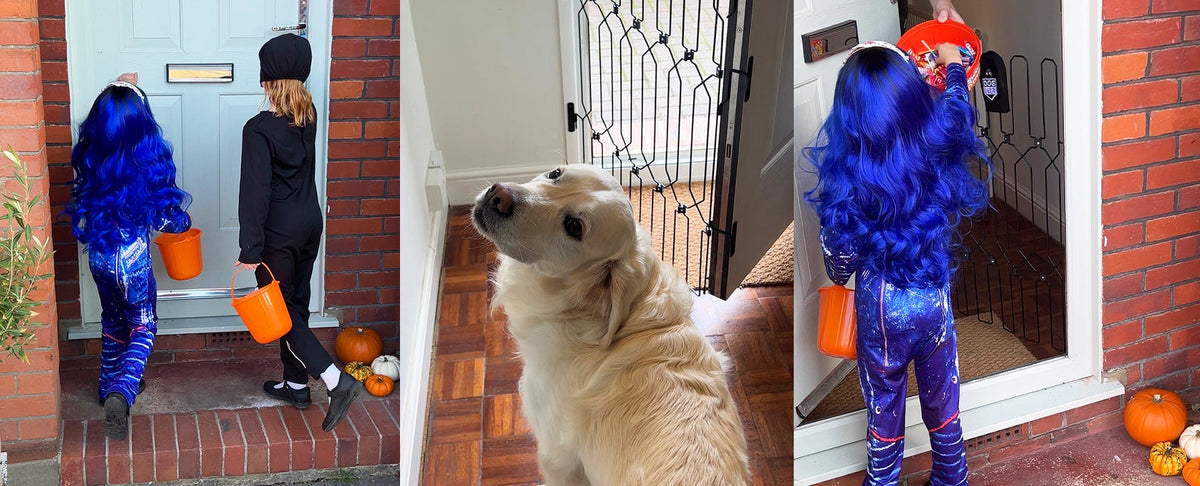 Halloween Safety for Dogs: How to Give Your Dog a Stress-Free Night (No Tricks, Just Treats)