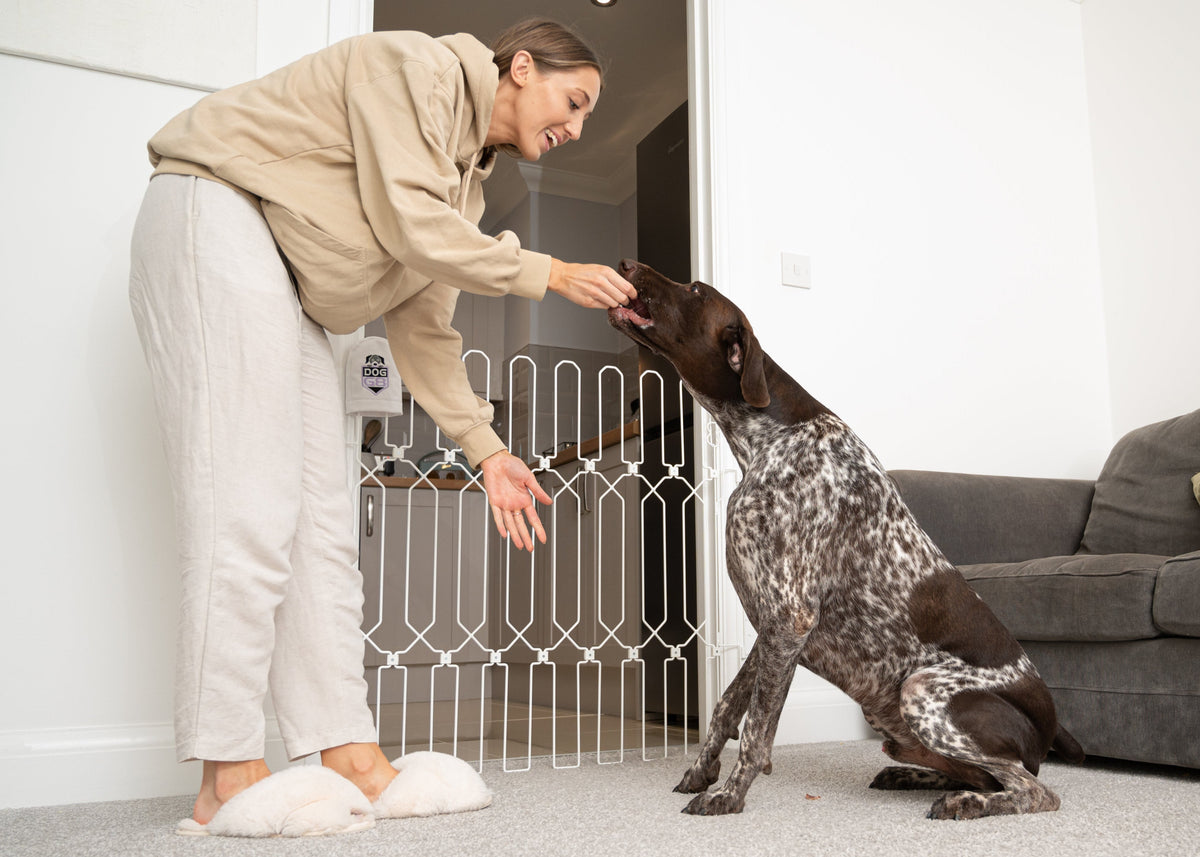 Why Professional Dog Trainers Recommend Dog Gates: A Guide