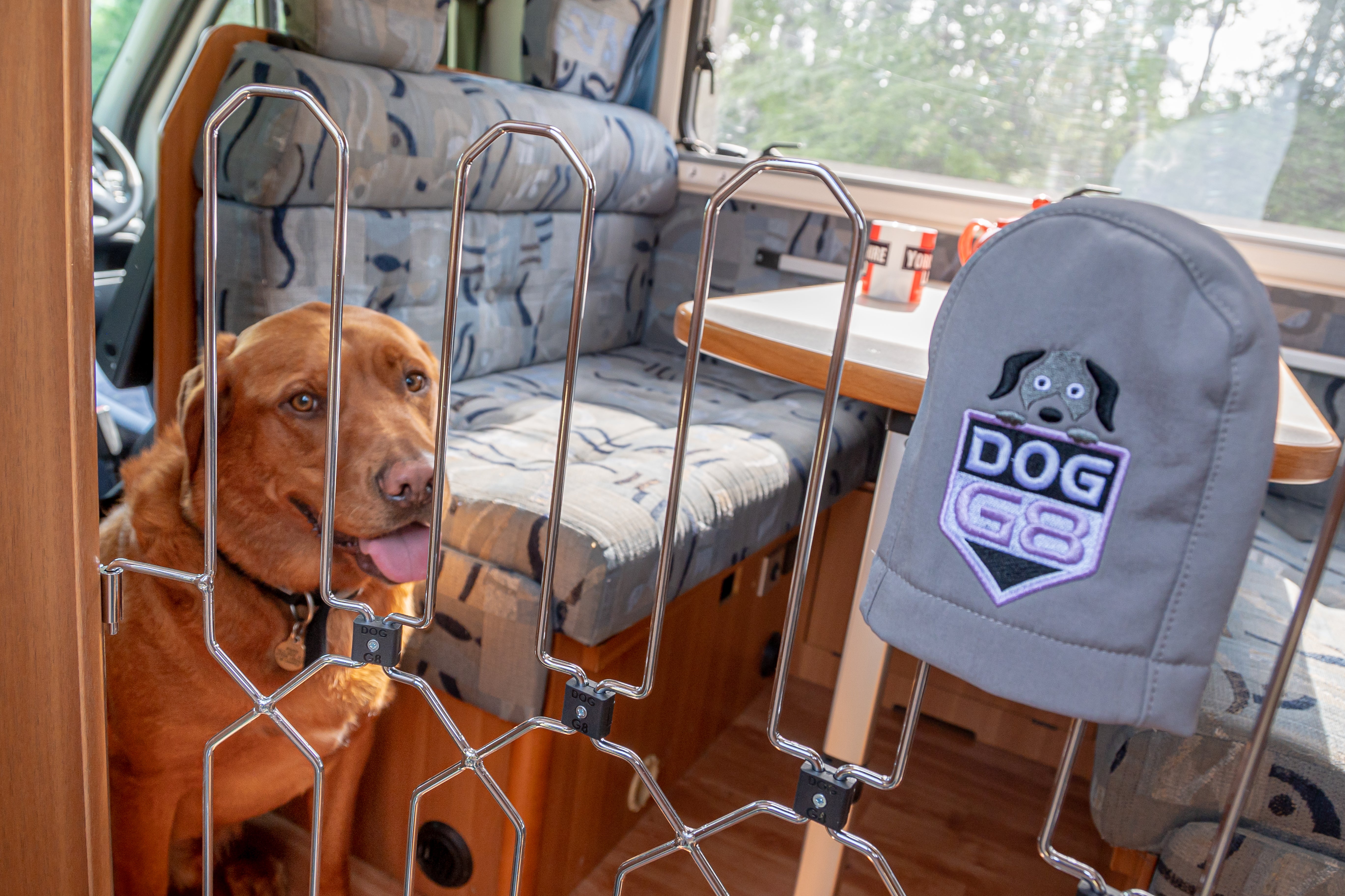 The Dog-G8