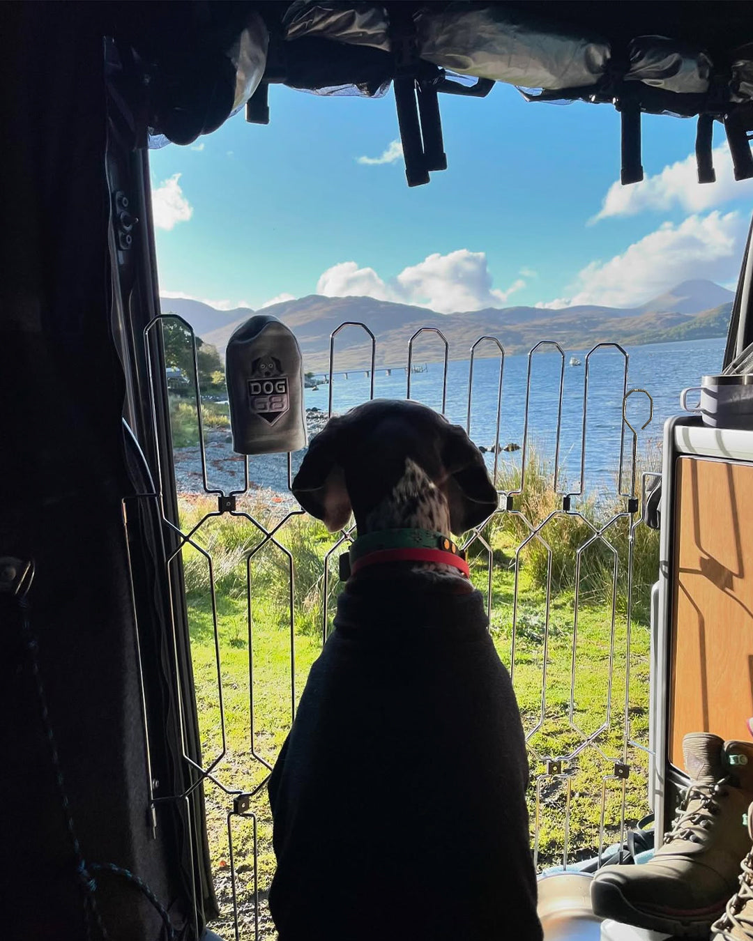 DOG-G8 for Campervans