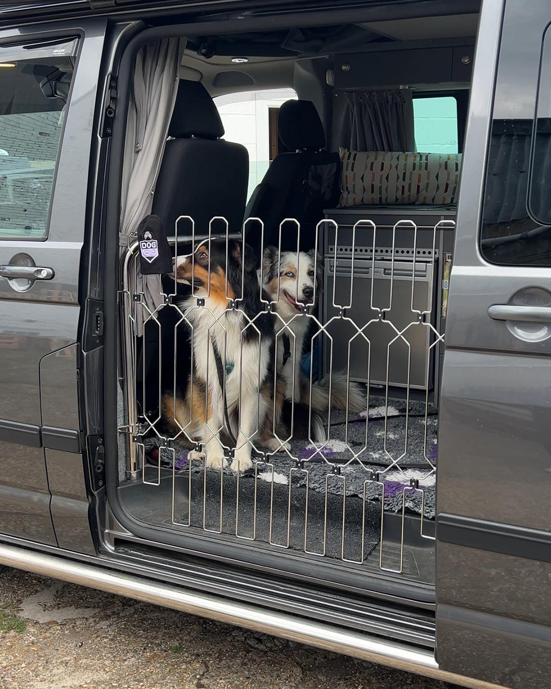 DOG-G8 for Campervans