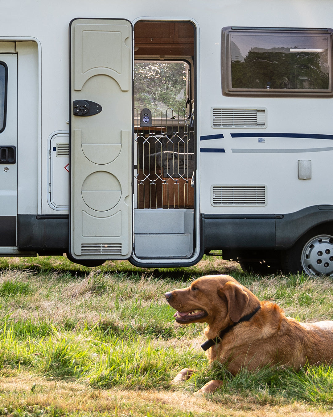 DOG-G8 for Motorhome/Caravan