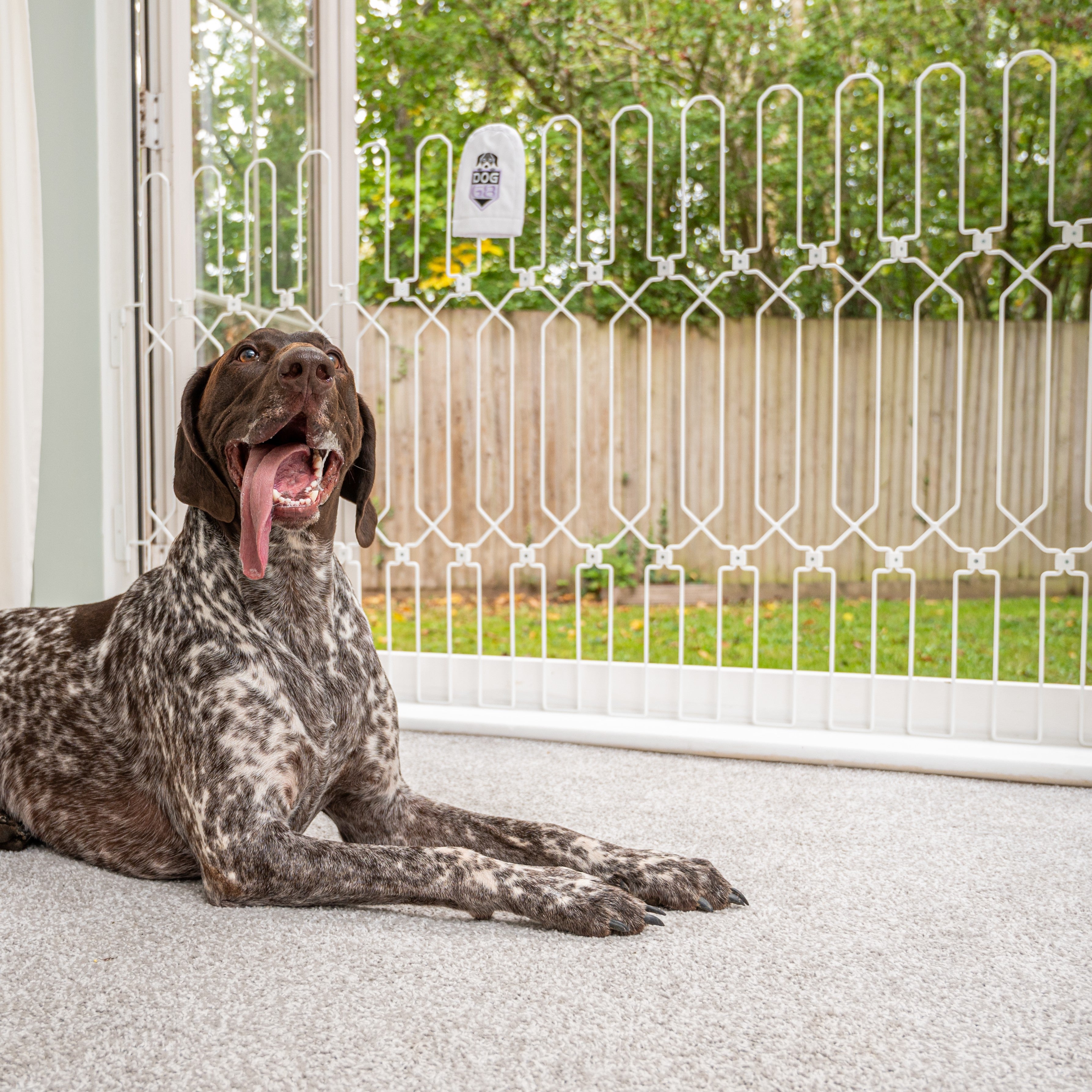 Retractable Gate Movable Fence For Dogs Portable Fence Gate