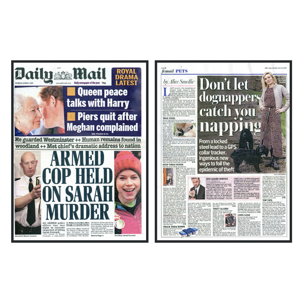 daily-mail-safety-gate-dogs-pets