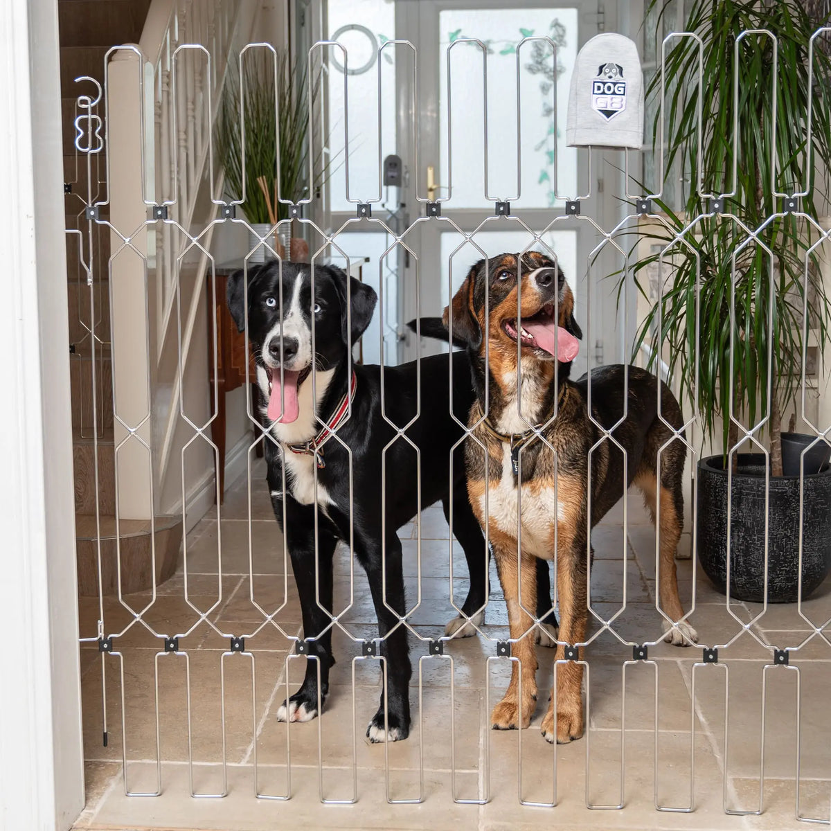 Baby Gate or Dog Gate? Why Your Dog Needs Something Different