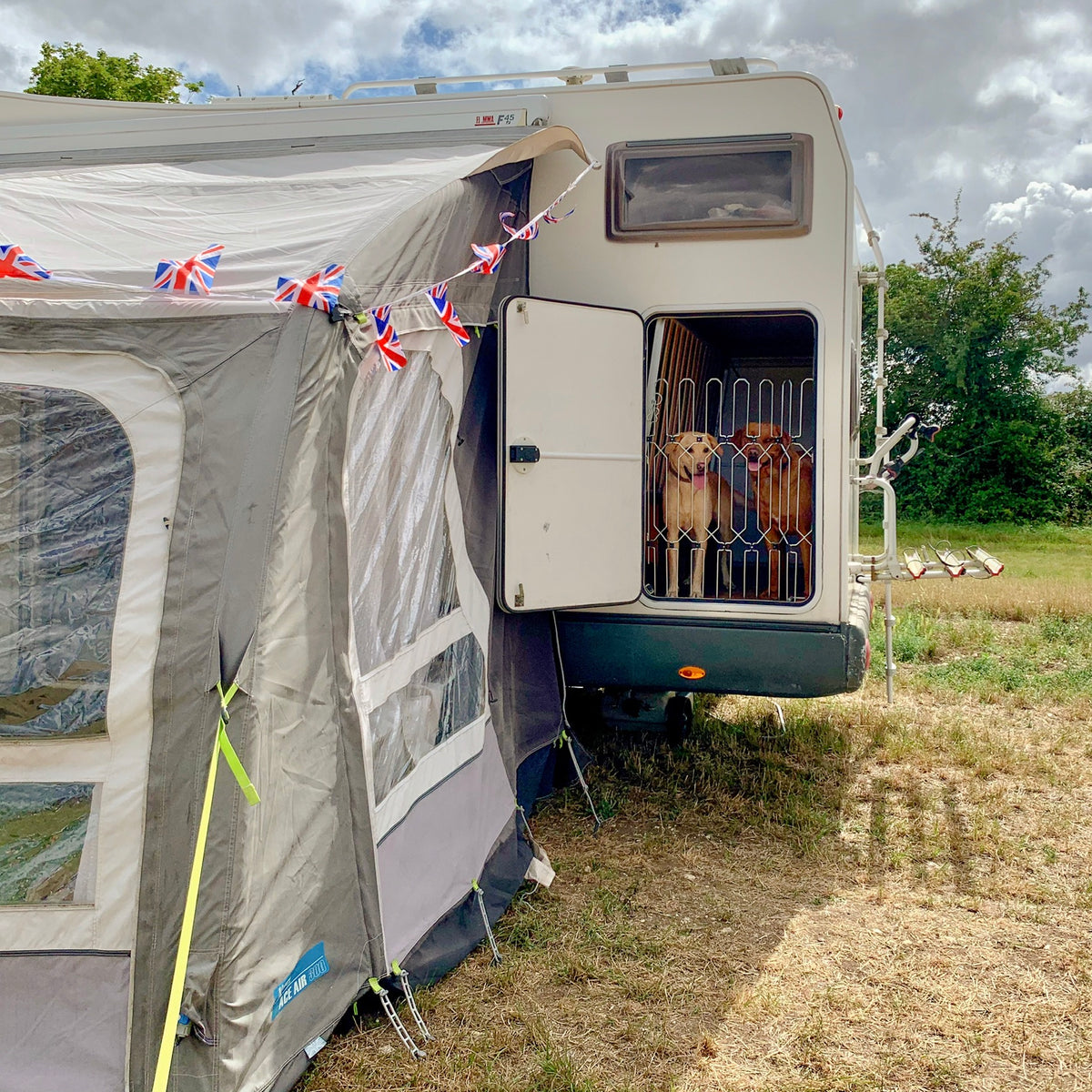 8 top tips for almighty motorhome bliss with your dog