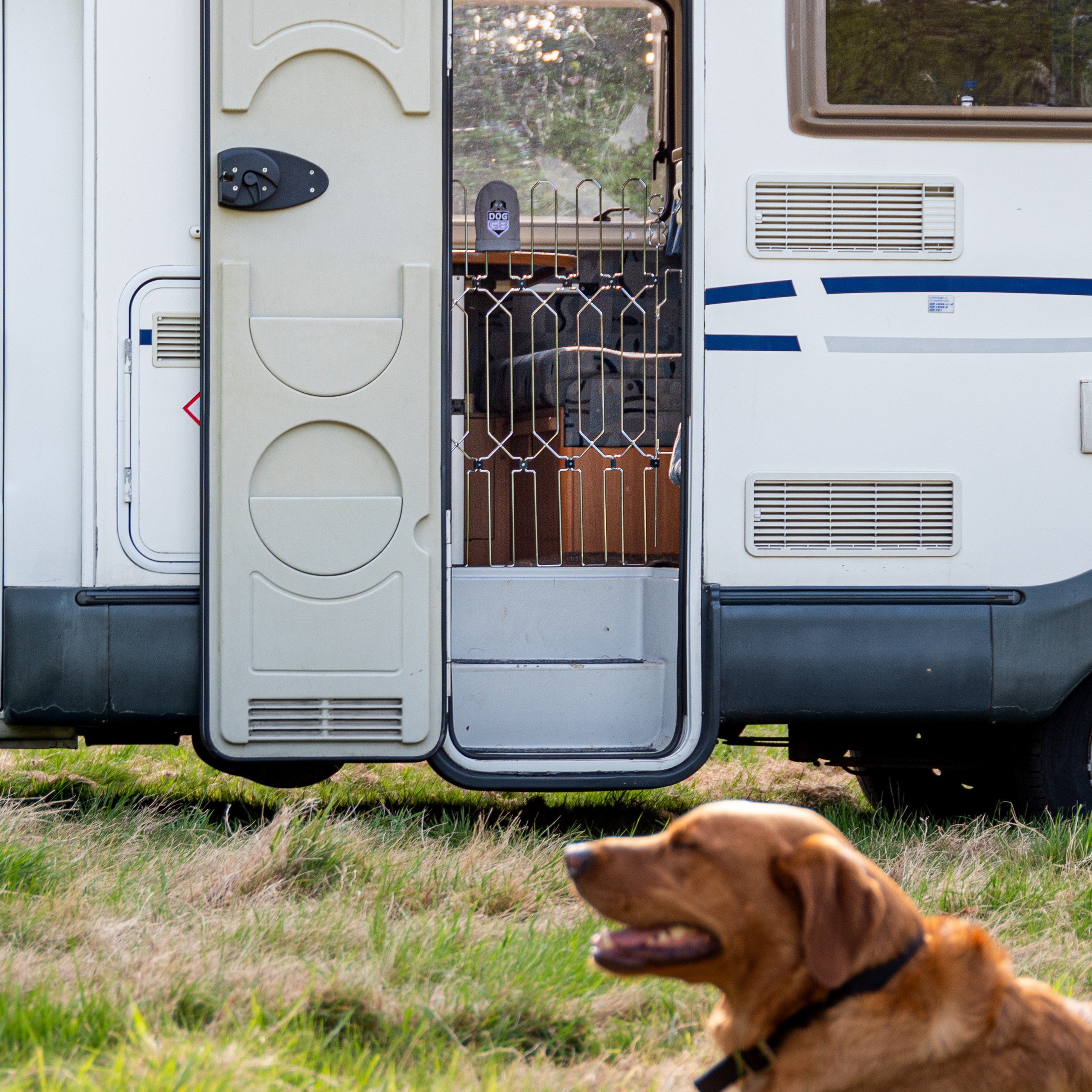 Dog Stop For Rv DOG-G8 MOTORHOME A concertina dog safety gate for Motorhome entrances ...