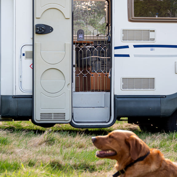DOGG8 MOTORHOME A concertina dog safety gate for Motorhome entrances
