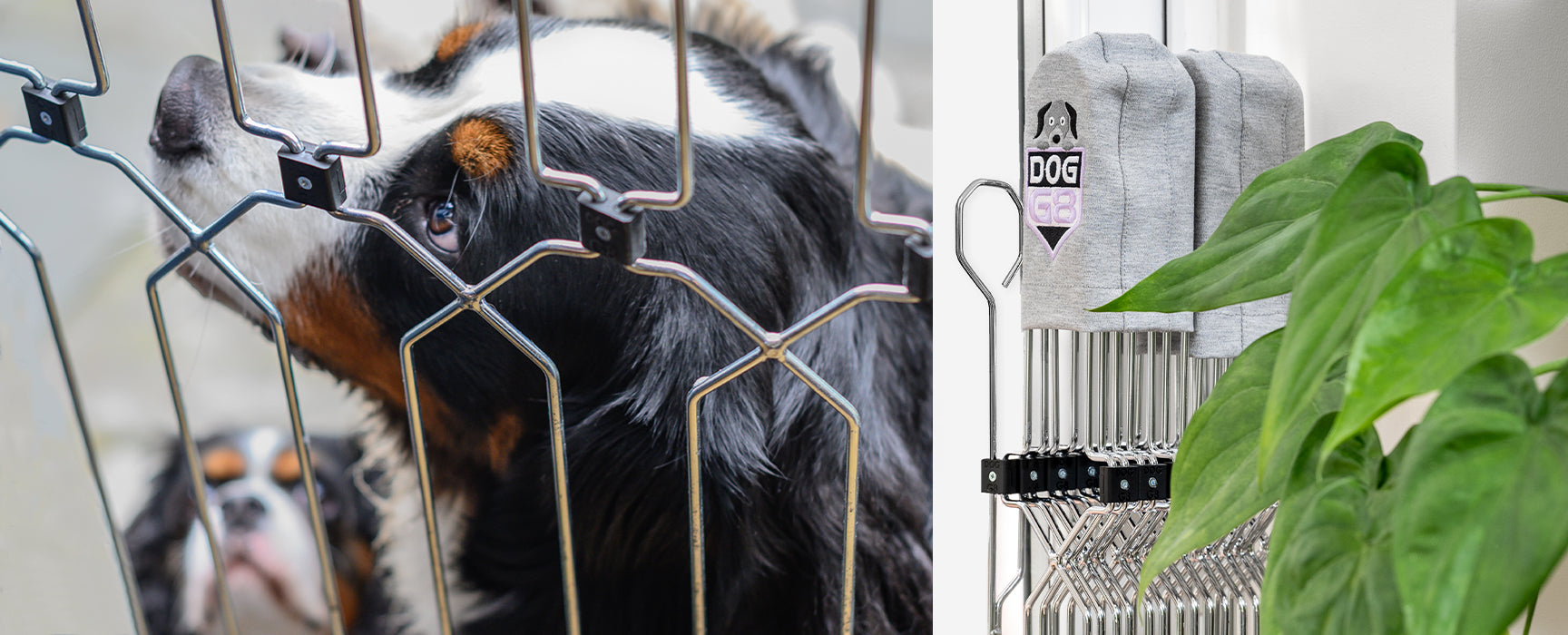 British-made dog safety gates – The Dog-G8 Company
