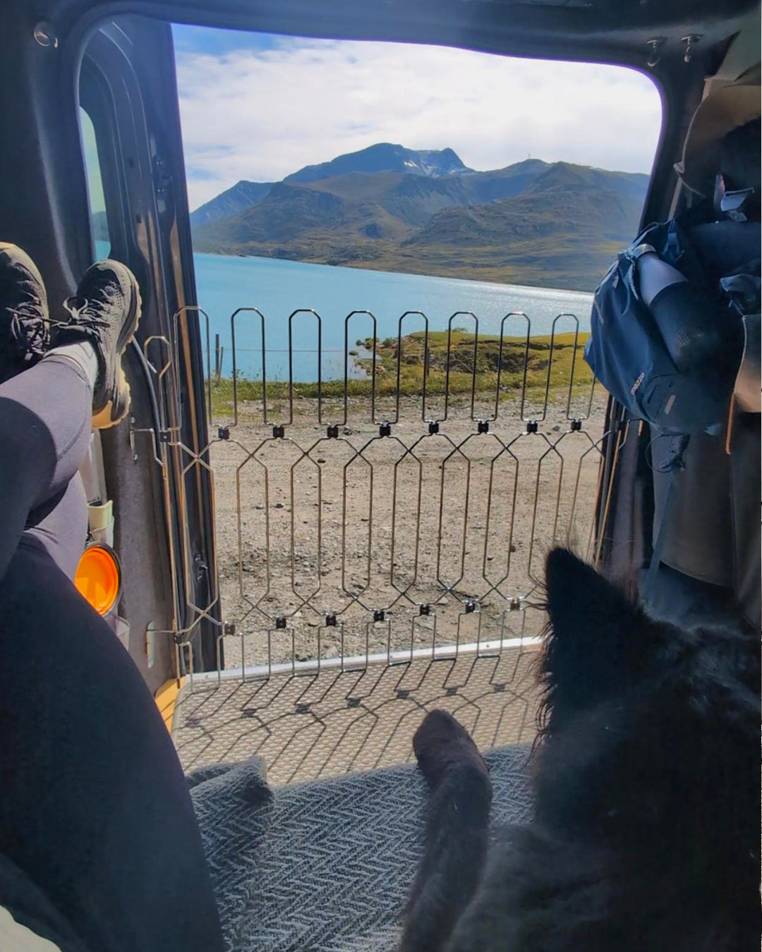 DOG-G8 for Campervans