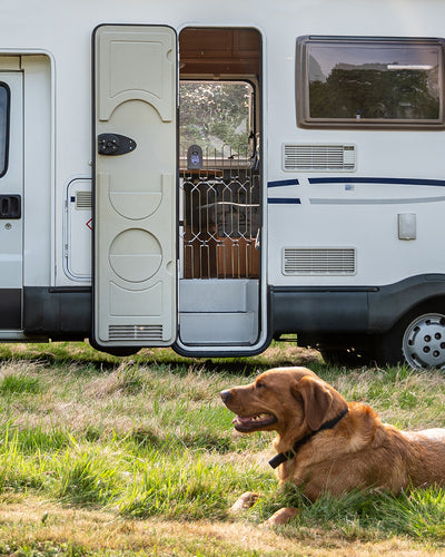 DOG-G8 for Motorhome/Caravan