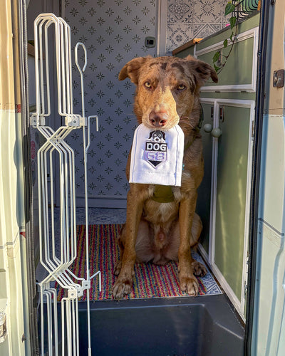 DOG-G8 for Motorhome/Caravan