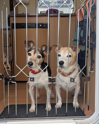 DOG-G8 for Motorhome/Caravan