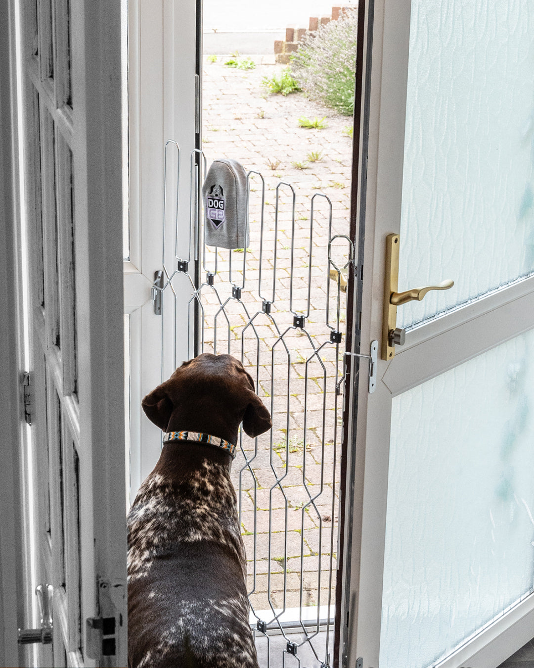 DOG-G8 Front Doors