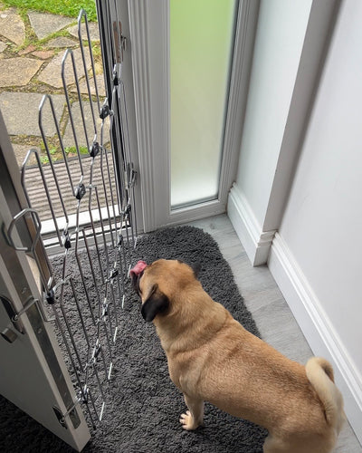 DOG-G8 Front Doors