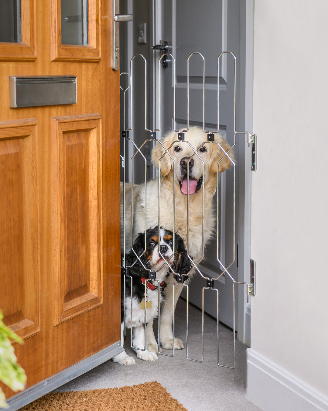 DOG-G8 Front Doors