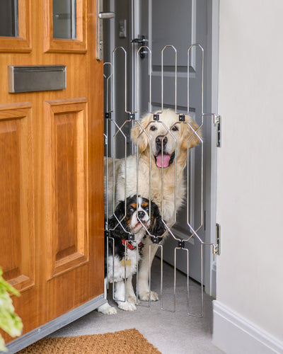 DOG-G8 Front Doors