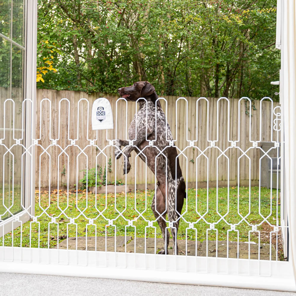 Extra wide Dog Gate for any opening The Dog G8 Co The Dog G8 Company