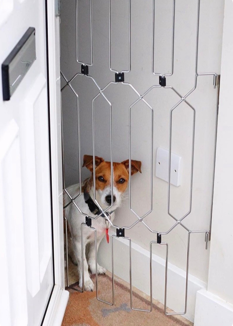 Retractable Dog External Door With Dog Door Retractable Pet Door