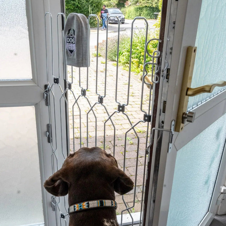 Long dog gate with door online