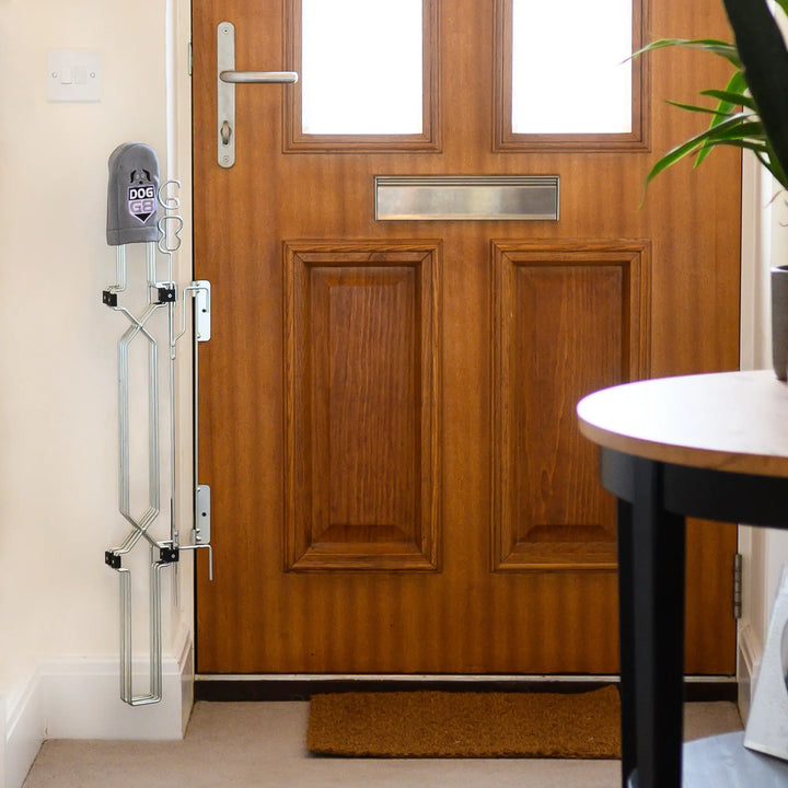 Locking clearance dog door