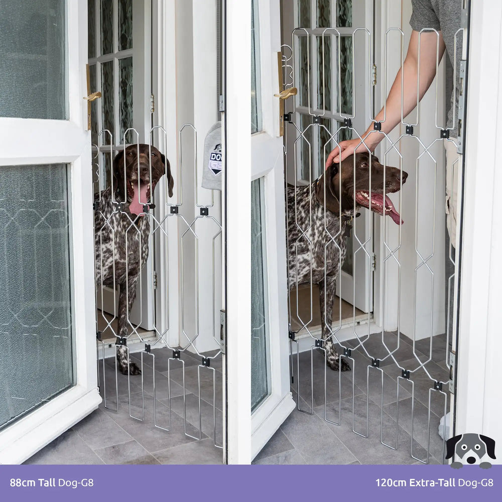 Front door top dog guard