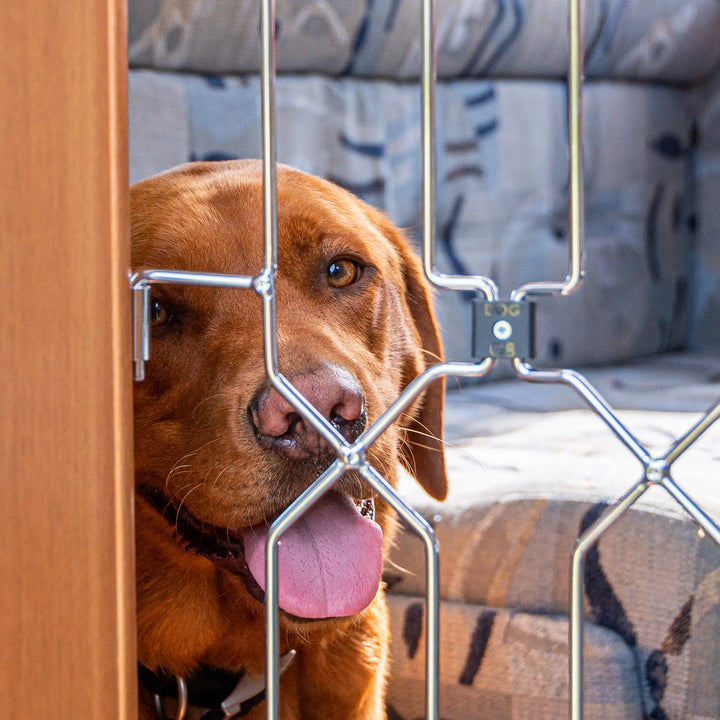 DOG G8 MOTORHOME A concertina dog safety gate for Motorhome entrances. The Dog G8 Company