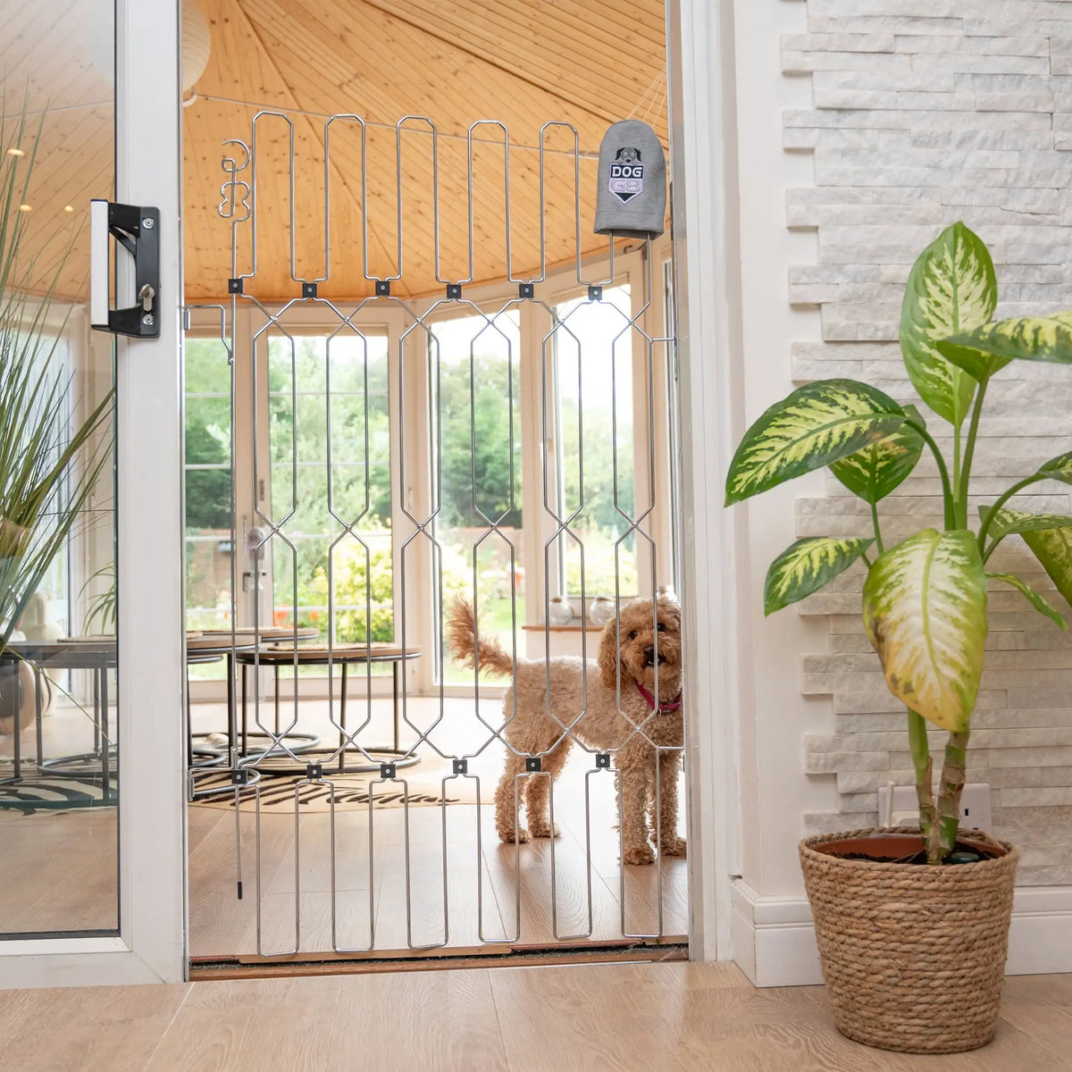 DOG-G8 Plus Stairway/Doorway