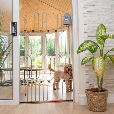 DOG-G8 Plus Stairway/Doorway