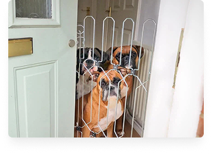 Doggie Gates Best Stair Gate For Dogs Dog Gate For Front Doors