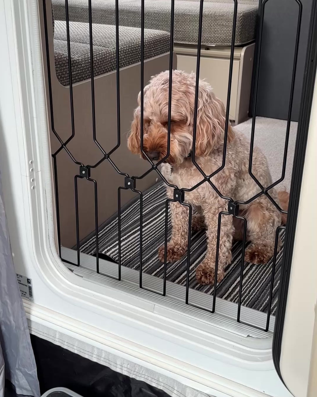 DOG-G8 for Motorhome/Caravan