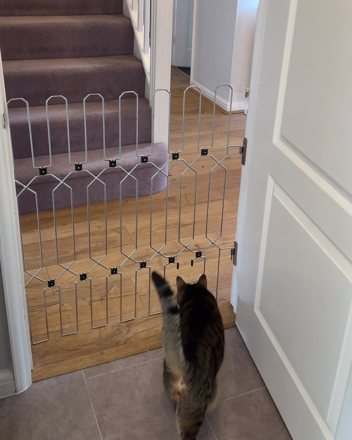 Cat Access Panel
