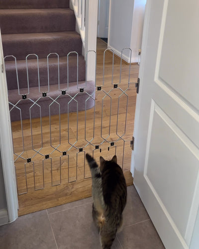 Cat Access Panel