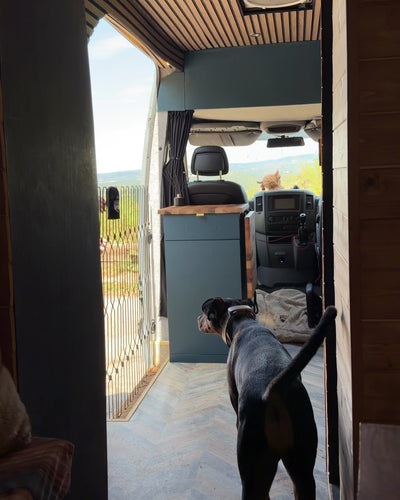 DOG-G8 for Campervans